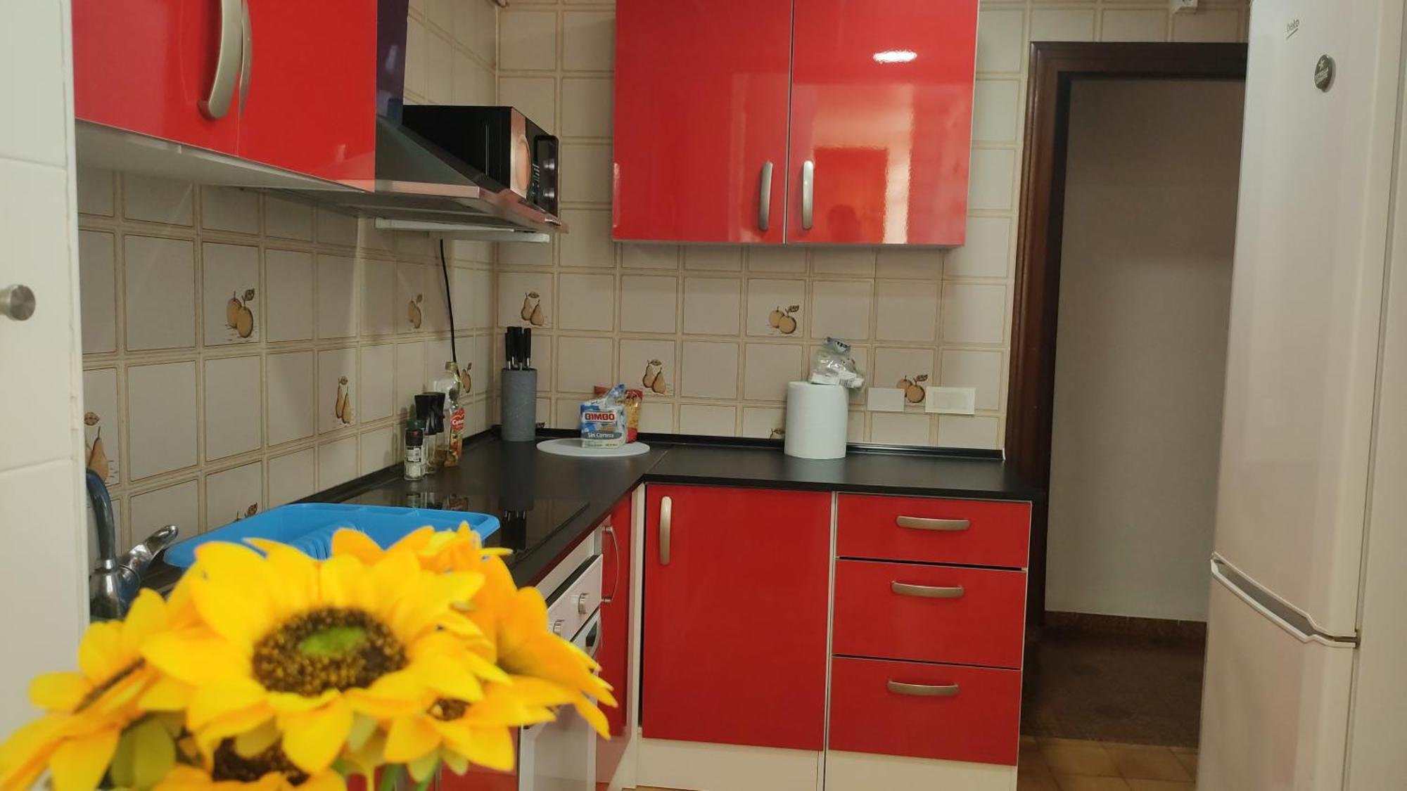 Big Penthouse For 10 Per Apartamento Torrevieja Exterior foto